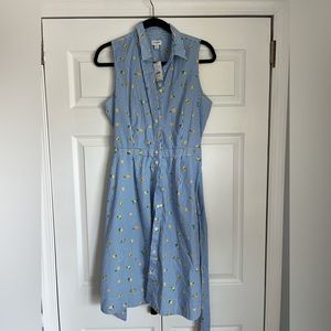 NWT J Crew Striped Dress with Lemons